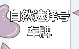 南充车牌靓号代选商家，办车牌靓号怎么选择