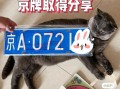 莆田车牌靓号代选，车牌靓号找谁