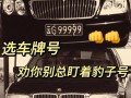 新疆买个好的车牌号多少钱，选车号怎样能选到好号